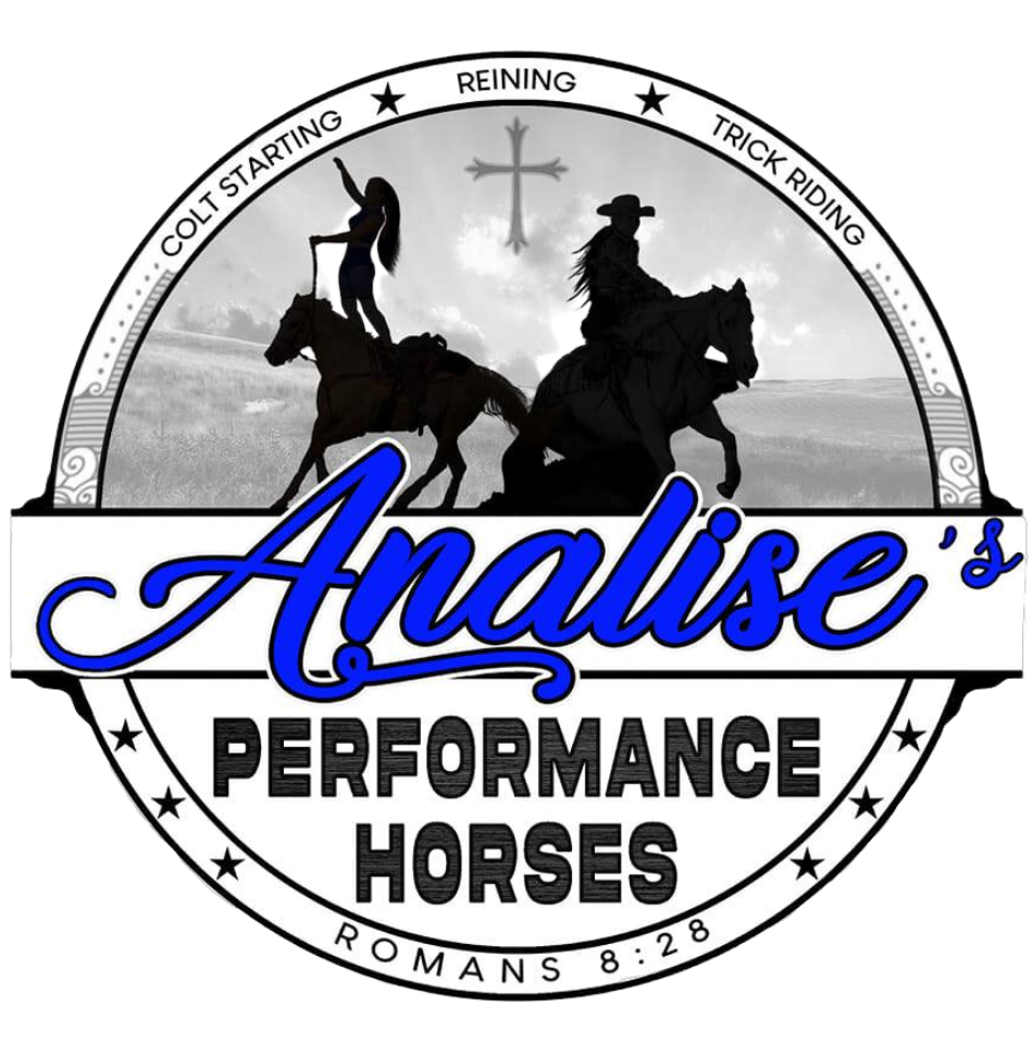 Analise's Performance Horses